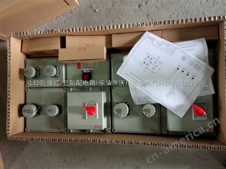 温州－沃川ＢＸＤ５１防爆动力检修箱价格（壳体铸铝）