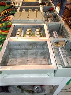 非标防爆箱-不锈钢三防箱-BXM（D） 防爆箱