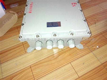 BJX-10工程塑料防爆接线箱，工程塑料防爆接线箱厂家