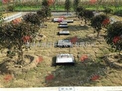 毕节|漳州20吨MBR地埋式一体化污水处理设备