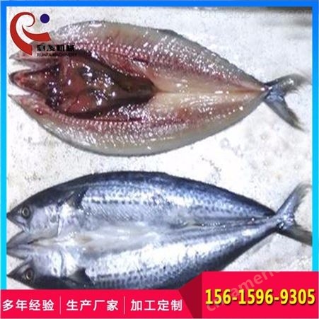 【润发食品机械】厂家供应海产鱼对中鱼类剖切机，鱼类开片机