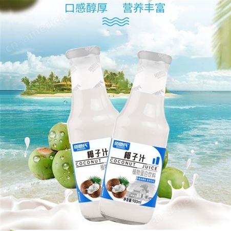 椰子汁植物蛋白饮料980ml×6玻璃瓶装商超渠道