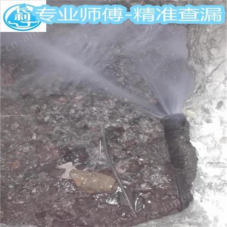 柳州地埋管道漏水检测 管道cctv检测 随约随到