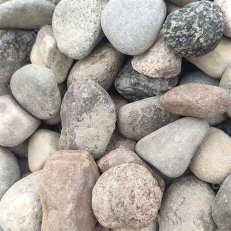 厂家批发 鹅卵石 天然多规格鹅 卵石 园林铺路彩色石子 东石矿产