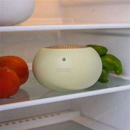 根元果蔬保鲜冰箱净化去味器家用除臭杀菌去除异味