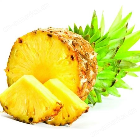 安赛食品级菠萝粉末香精香料植物提取香气醇正