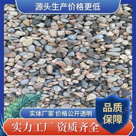 平鹅卵石滤料小石子多肉盆栽鱼缸过滤石头鹅卵石生产厂家