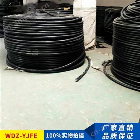 铜芯电力电缆WDZ-YJY/YJFE低烟无卤2/3/4/5芯环保电缆