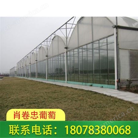 广西梧州智能连栋温室大棚可改善农作物品质