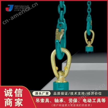 德国进口 JDT吊环 100级吊具 起重吊具 中国总经销商