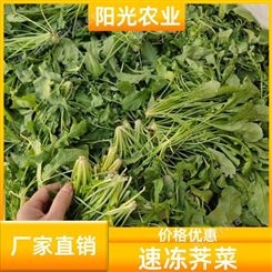 阳光农业 方便实用 速冻荠菜 富含营养 冷冻蔬菜包子饺子料